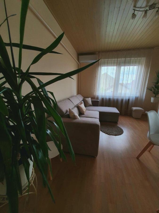 Apartman Ilike バラトンフレド エクステリア 写真